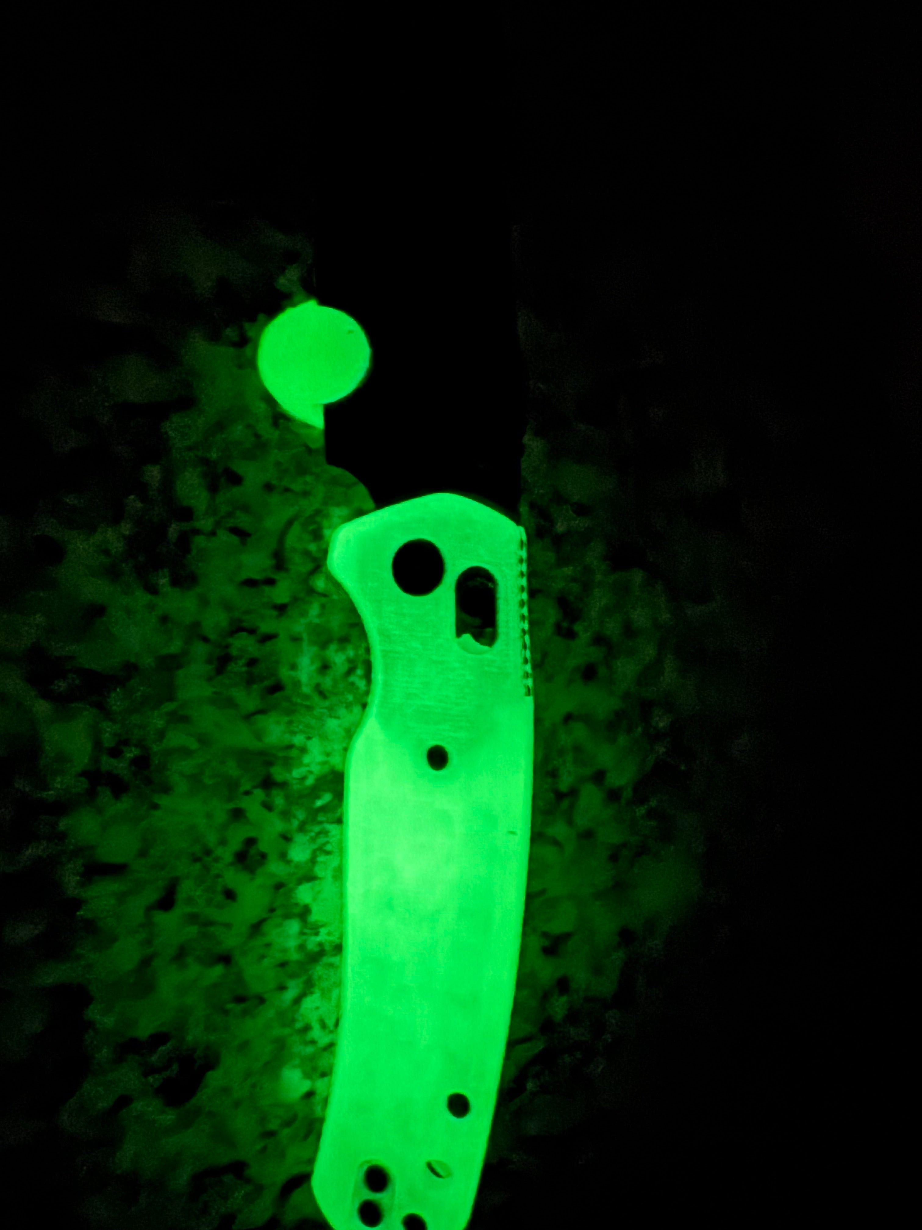 **BESTECHMAN GLOW CICADA WING**